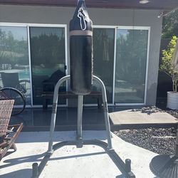 Everlast Heavy Bag + Stand – Boxing Training Setup 🥊
