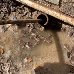 Snake Drain 
