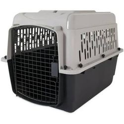 Dog Kennel 