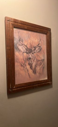 Deer print in a frame!