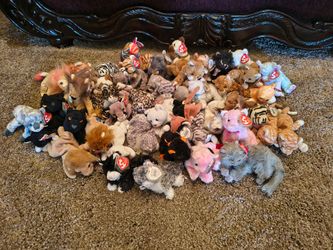 45 TY Cat Collection