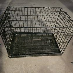 Dog  Cage