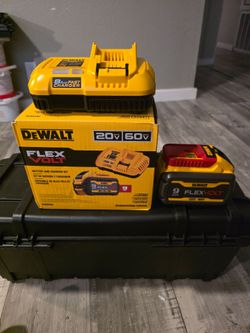 Dewalt battery & fast charger