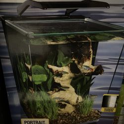 Fish tank