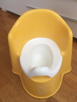 Baby Bjorn potty seat