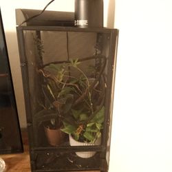 Chameleon Enclosure And Supplies 