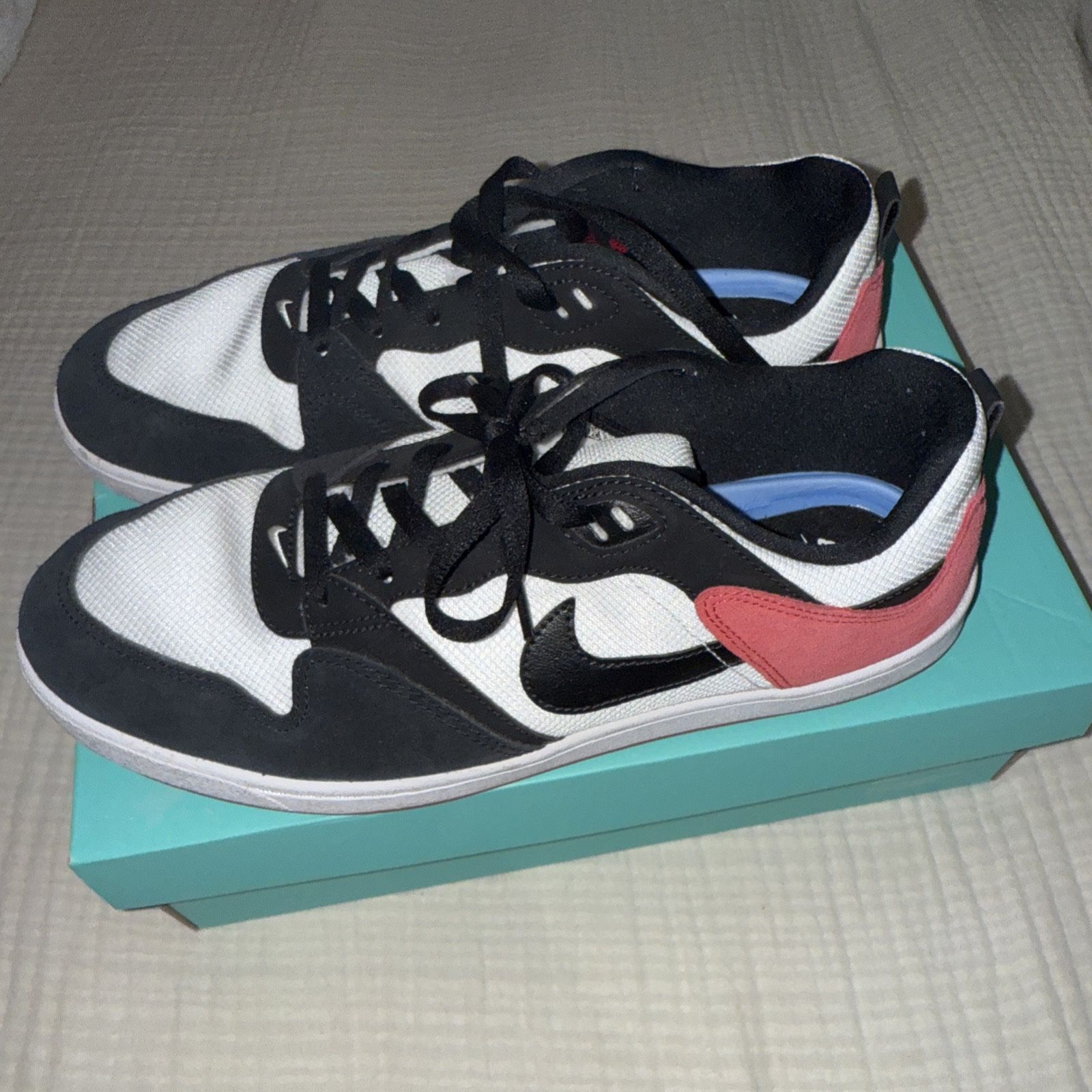 Men’s Nike SB ALLEYOOP Shoes Size 11.5