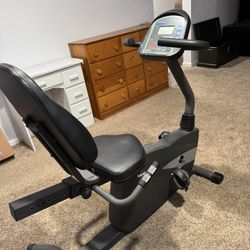 Used Recumbent Bike 