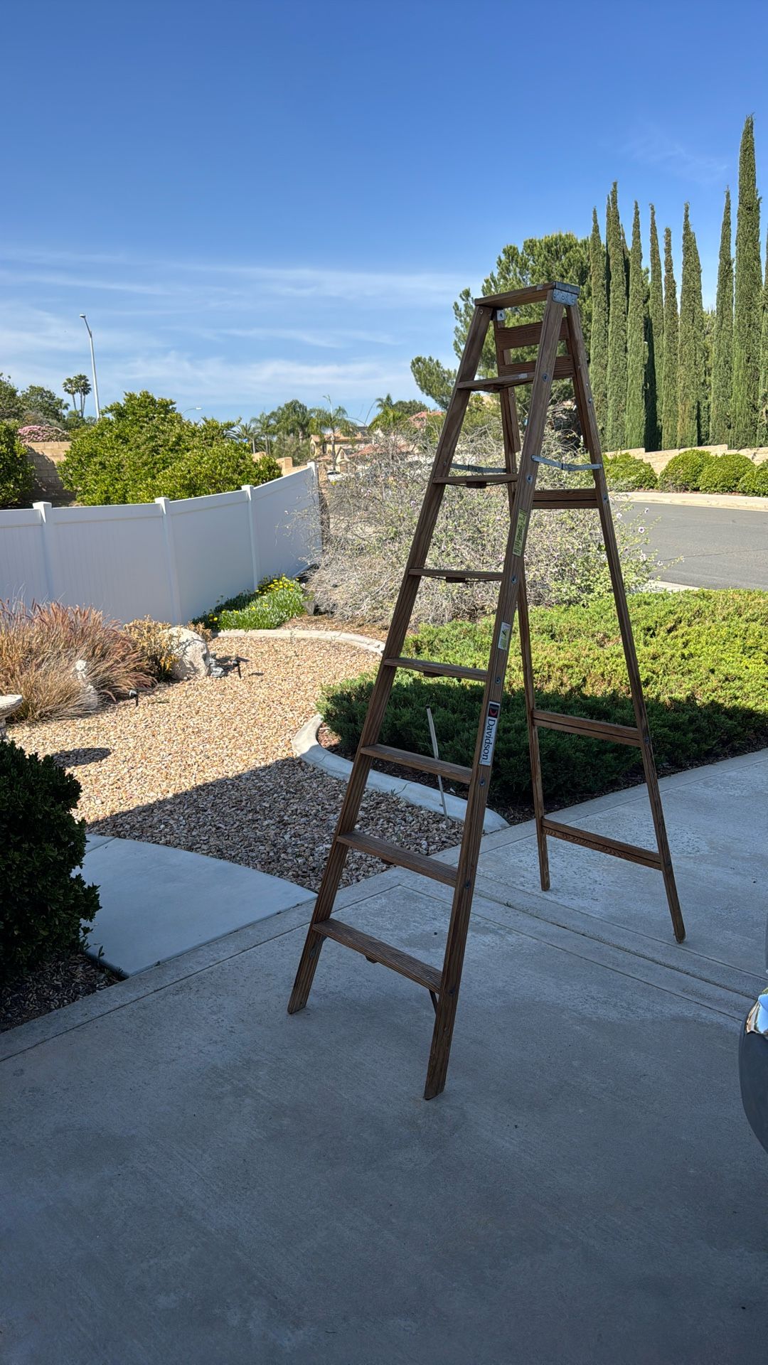 Ladder - 8 Foot