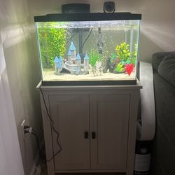Fish Tank