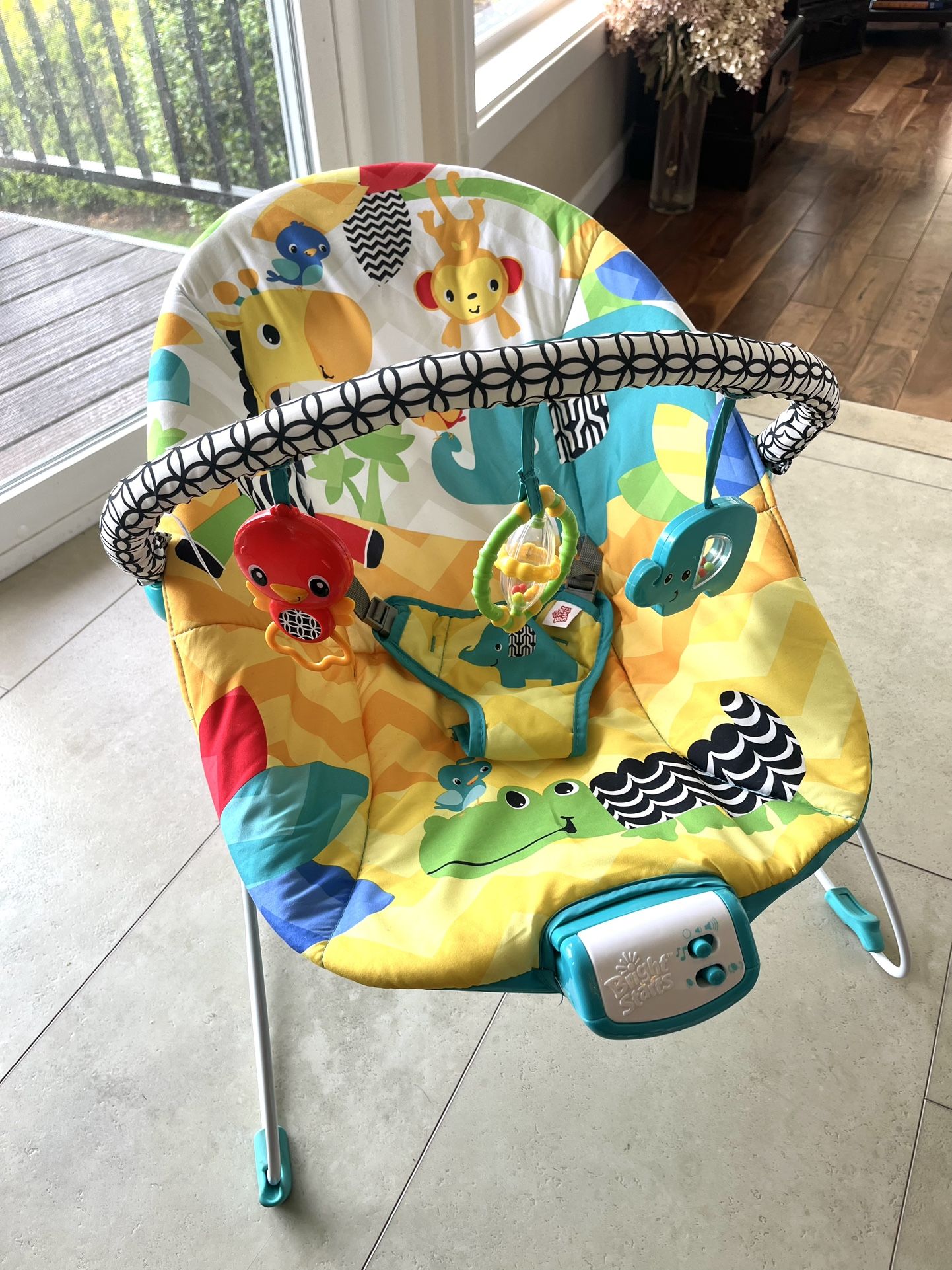 Baby Bouncer