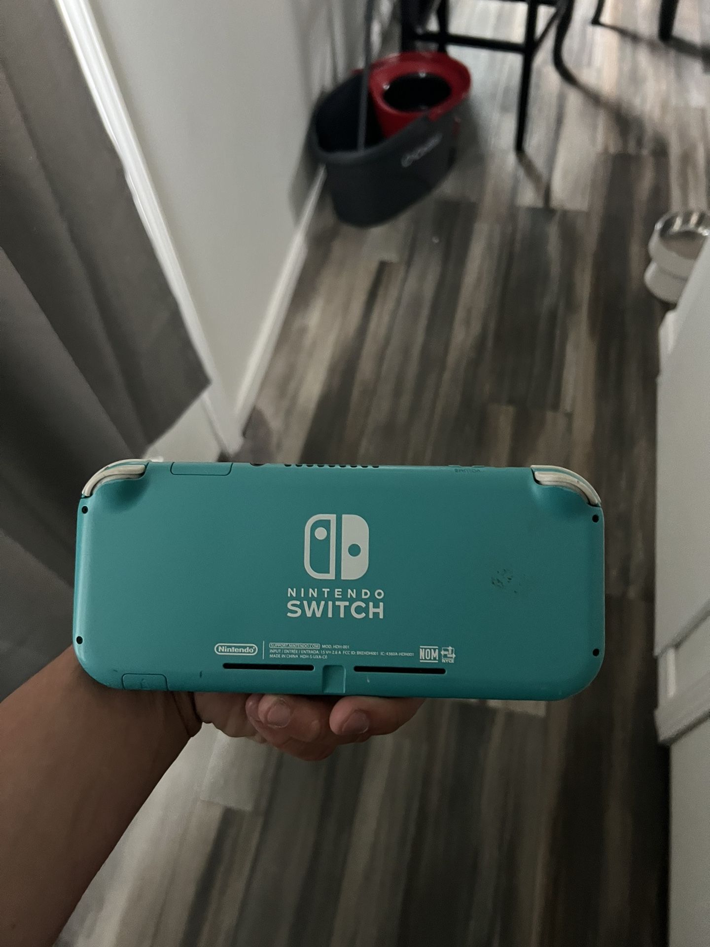 Nintendo Switch Lite