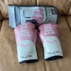 Everlast Boxing Gloves