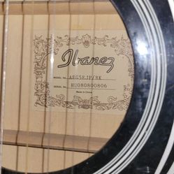 Ibanez Acoustic-Electric Guitar 