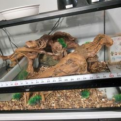 Used Zoo Med 40g Front Opening Aquarium/Terrarium