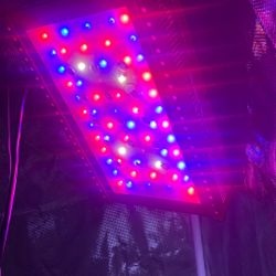 Tmlapy 1000 W Led Grow light