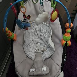 Baby Swing (4Moms)