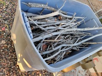 Tub Full Of Campfire Branches. Pecan 