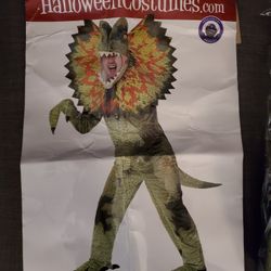 Adult Halloween Costume