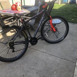 BCA 29” Big Bike
