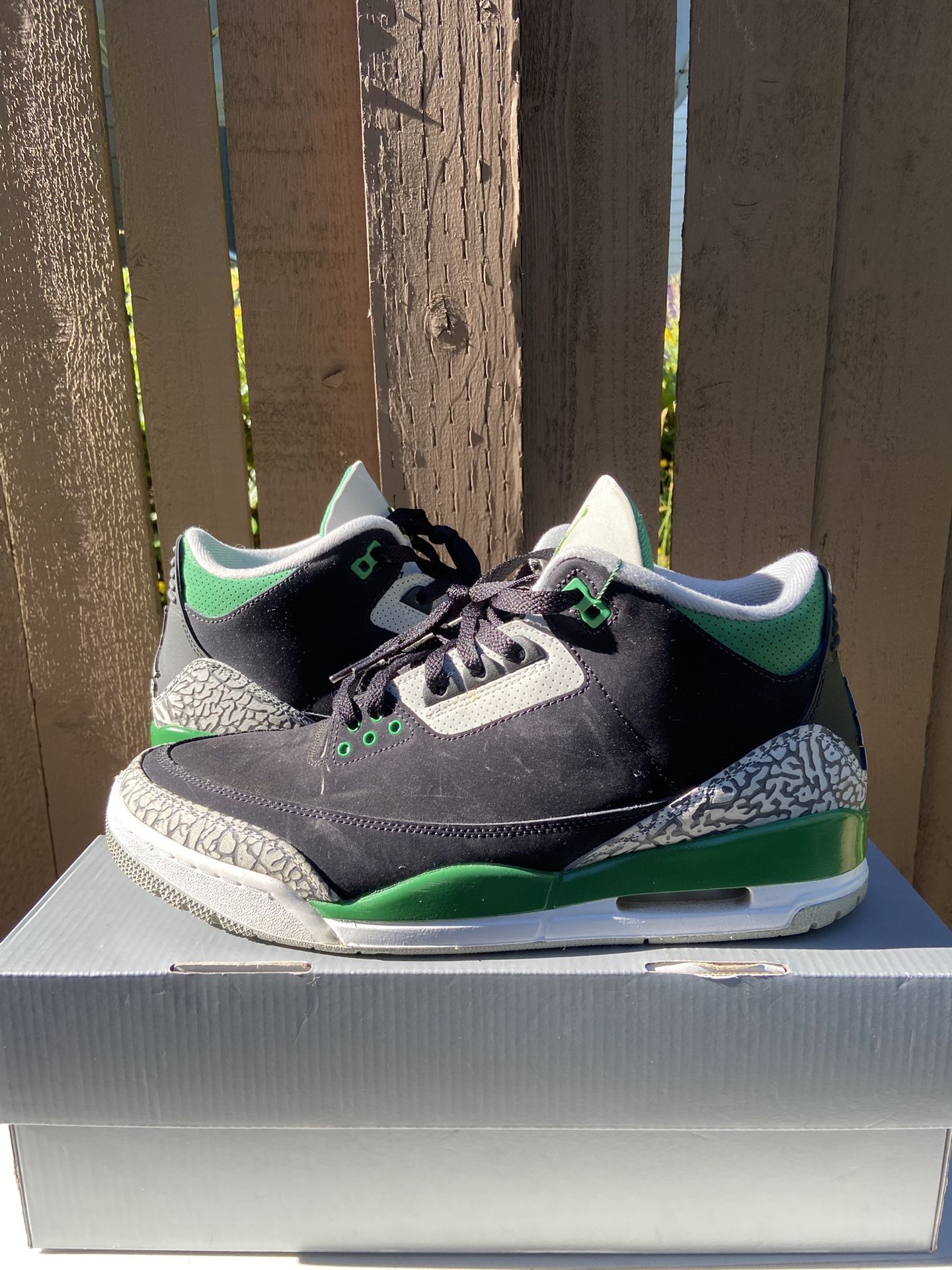 JORDAN 3s 