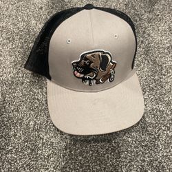 Snap Back Hat