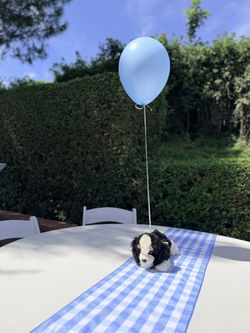 Blue Gingham Table Runners + One Banner + One Hat