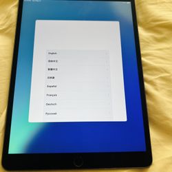 IPad Air 3 256gb WiFi Version Price Firm
