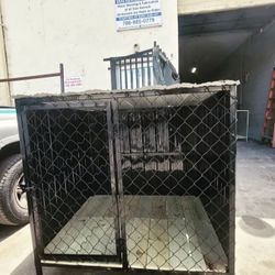 Dog Kennels Florida 