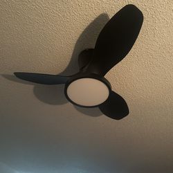 Ceiling Fan With Remote