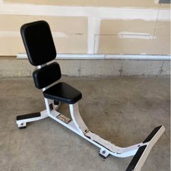 Hammer Strength Seated Gym Utility Weight Bench
