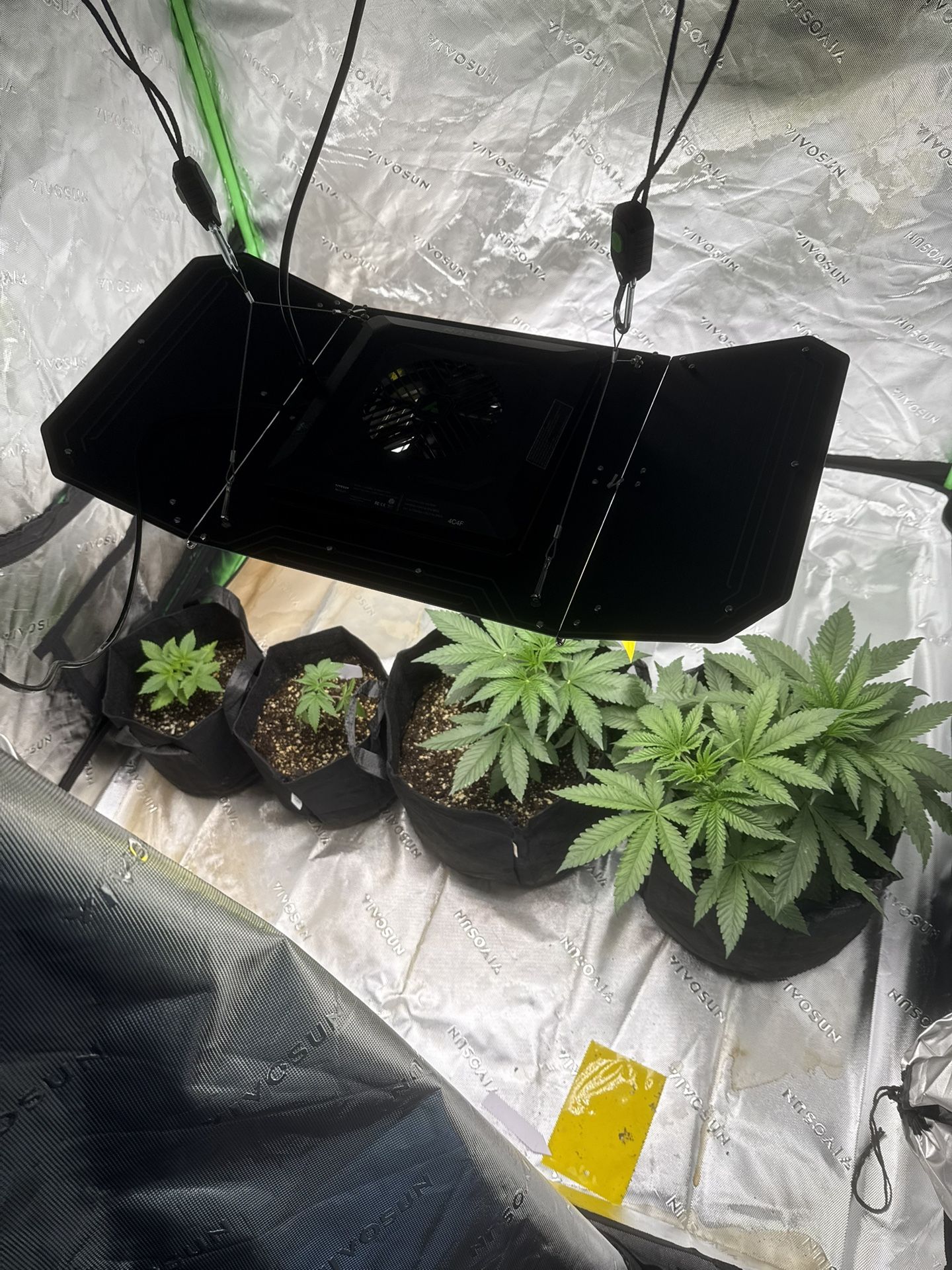 Grow Tent