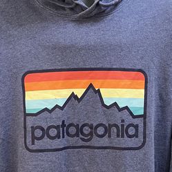 Patagonia Line Logo Badge Lightweight Hoodie Size Small