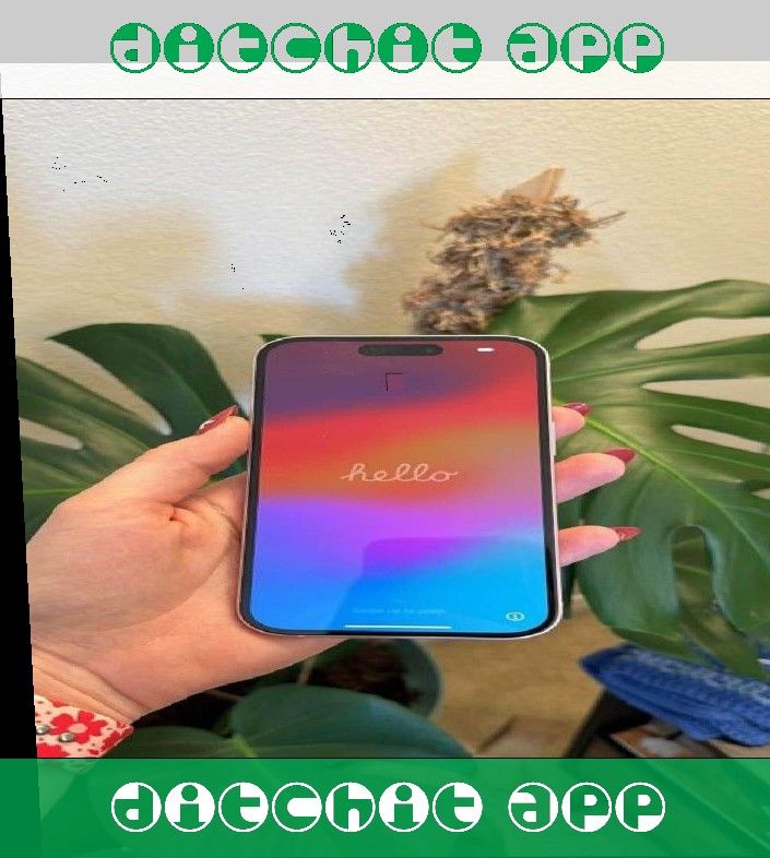 iPhone 15 Plus Newest Release then pattern