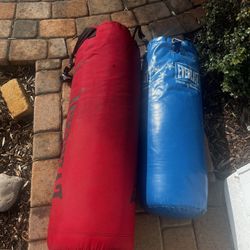 Everlast Punching Bags