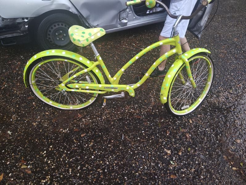 Vintage Cruisein Bikes