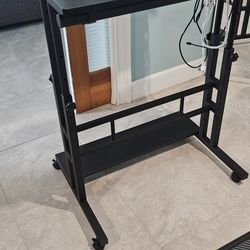Standing Adjustable Desk