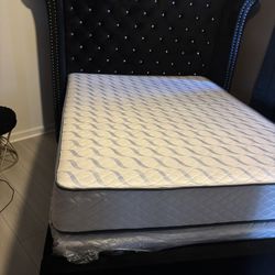 Queen Size Bed Like New 