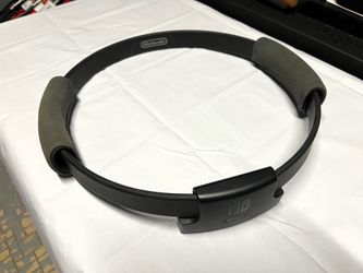 Nintendo Brand Switch Ring Con - PRICE FIRM