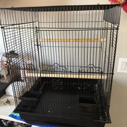 Bird Cage 