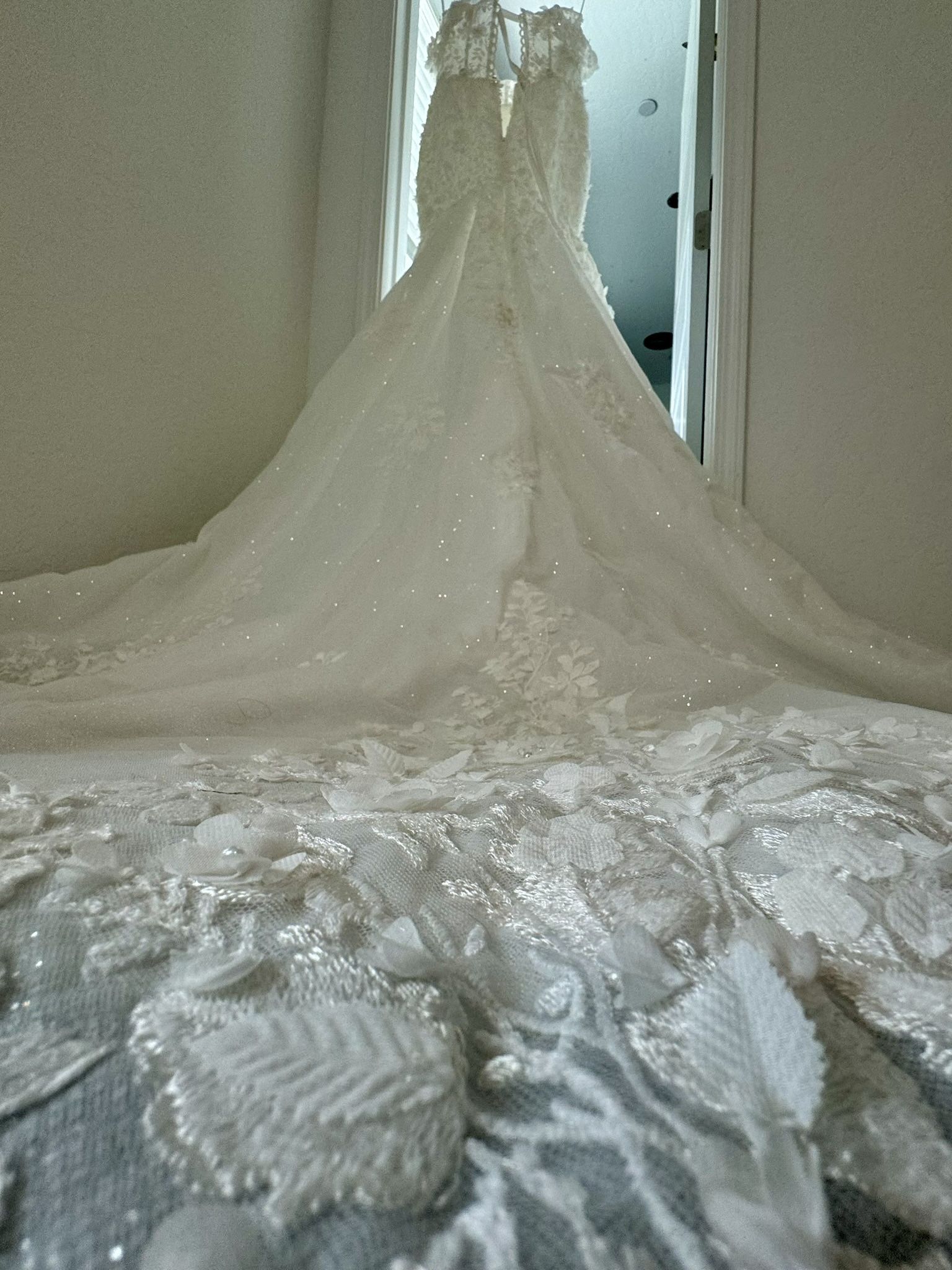 Beautiful Brand New Designer Wedding Dress/ Veil