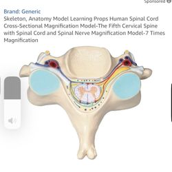 Taking Offers For Education Cervical Learning