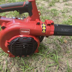 Homelite Blower 