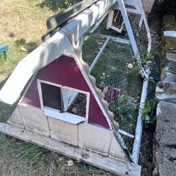 Free Chicken Coop