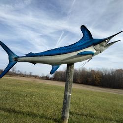 Large Marlin Fish Mount  