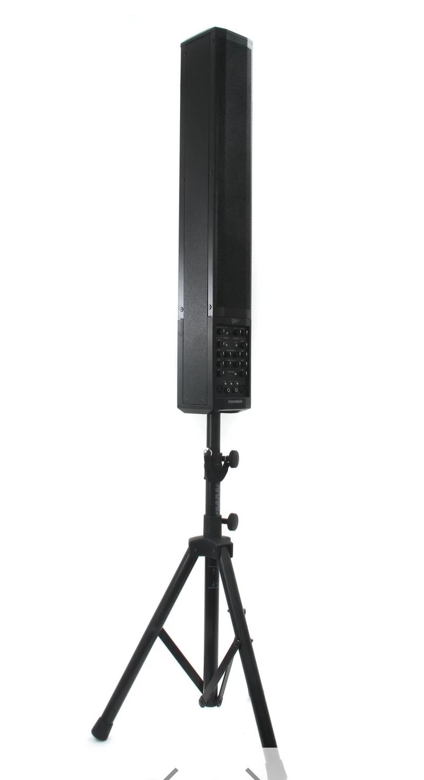 Fishman SA220 Solo Performance System