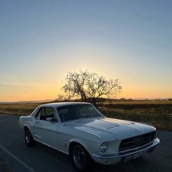 1967 Ford Mustang