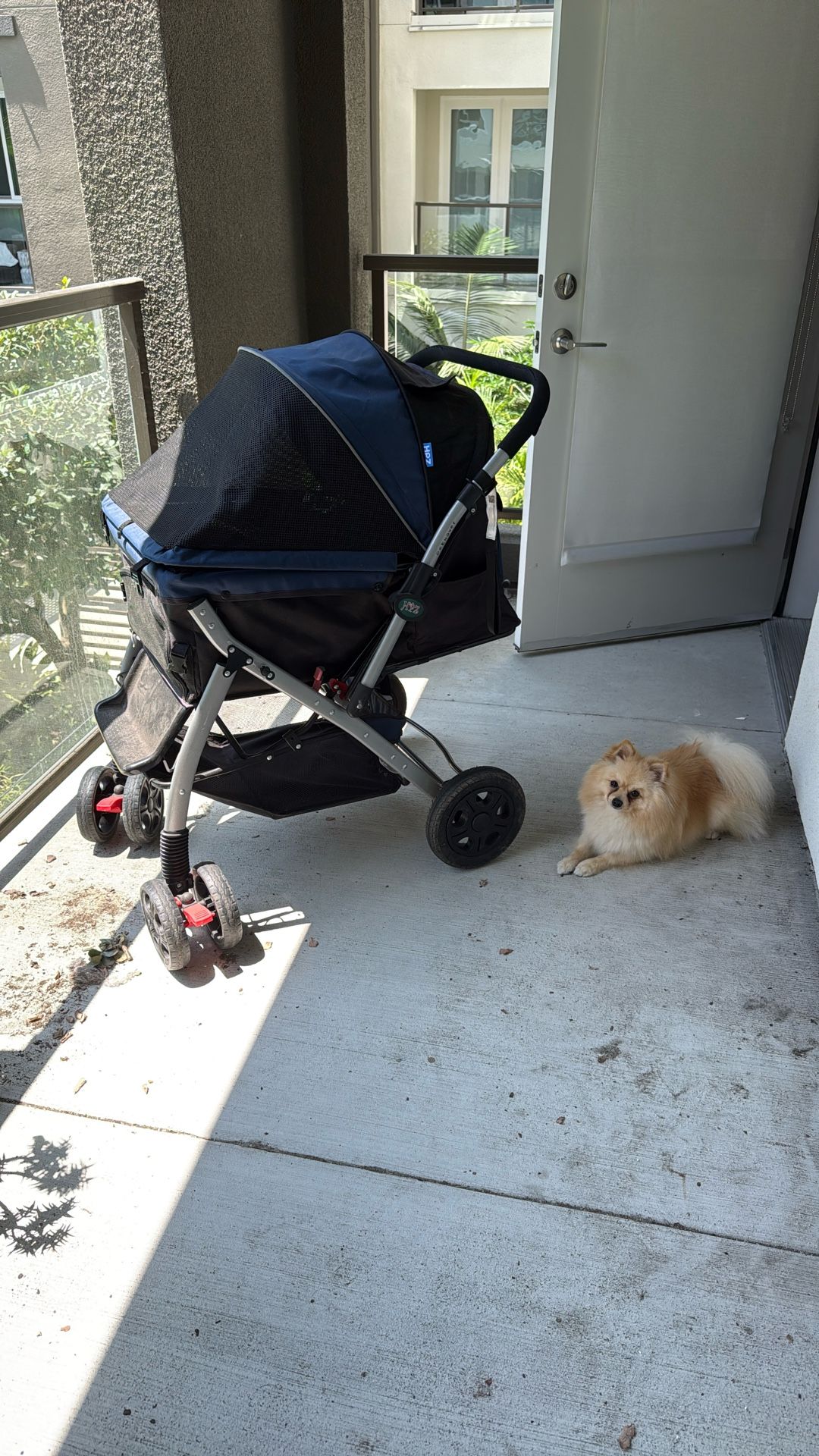 Dog Stroller