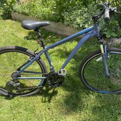 Schwinn Trailway Mountain Bike 