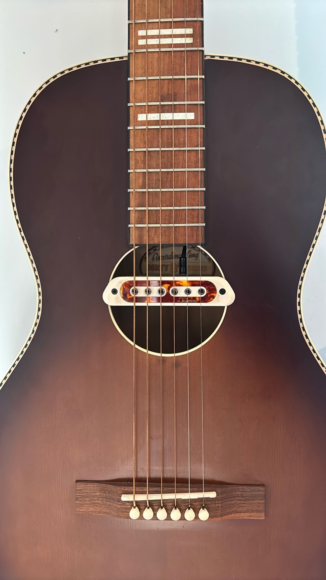 Record King Guitar